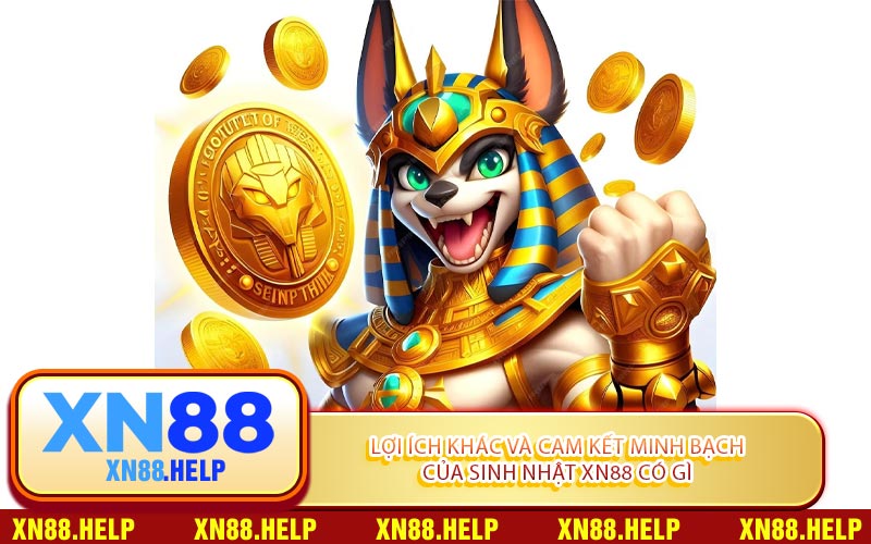 Sinh Nhật XN88 Có Gì: Món Quà Tri Ân Đẳng Cấp Cho Hội Viên - Lepasi